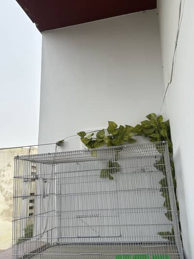Big cage for sale