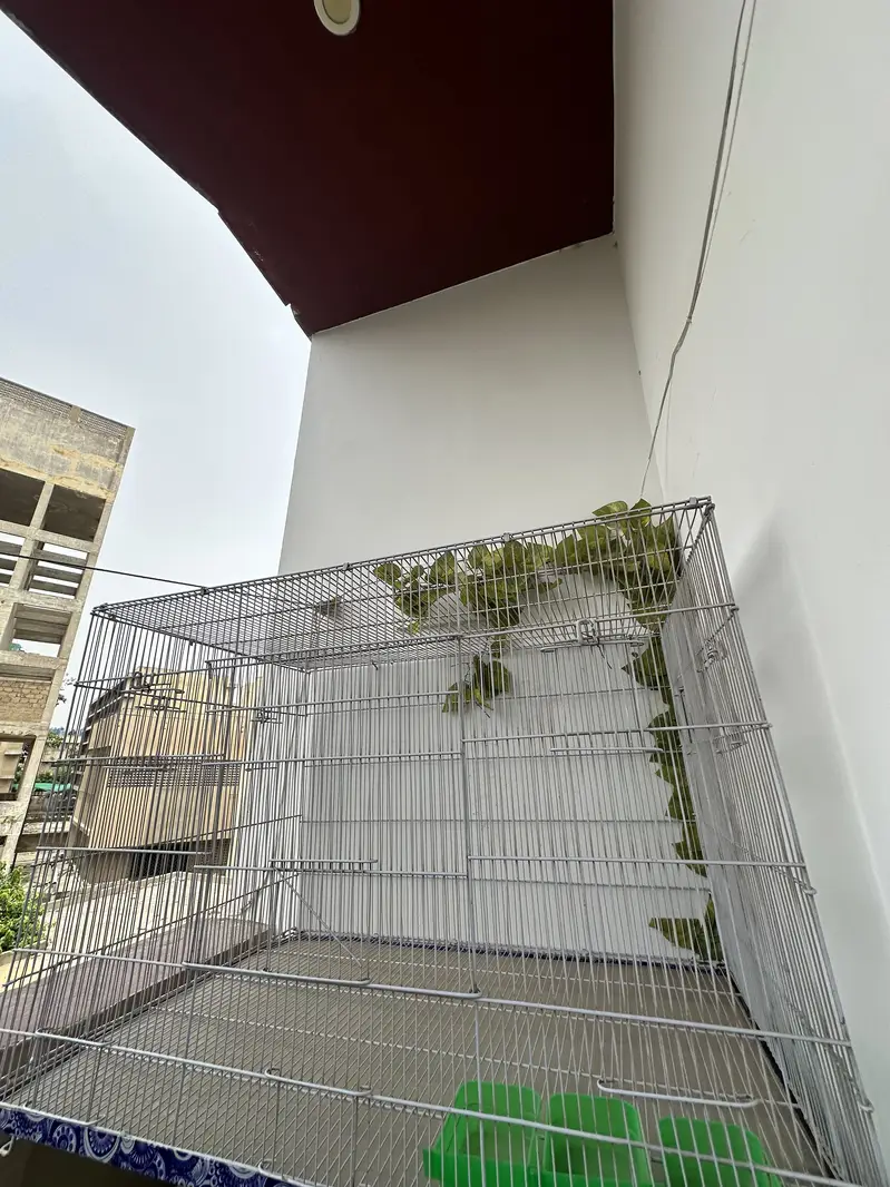 Big cage for sale — photo 2