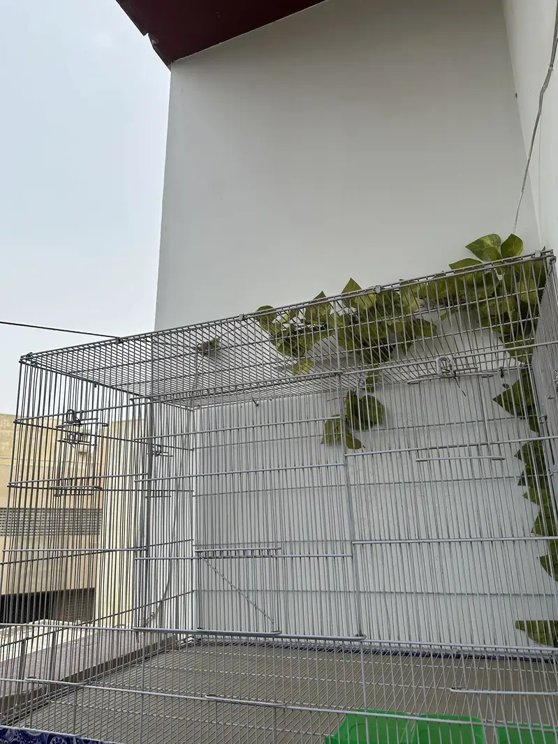 Big cage for sale — photo 3