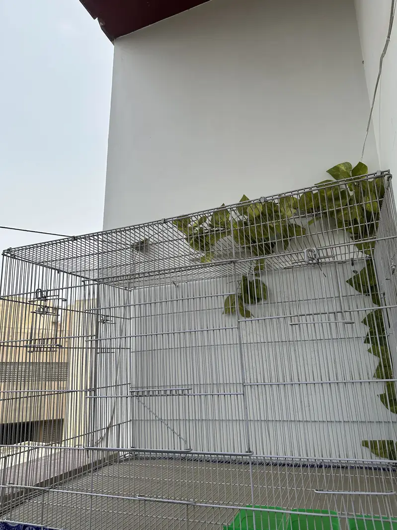 Big cage for sale — photo 4