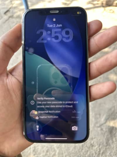 Apple iPhone 12 Pro