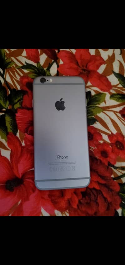 Apple iPhone 6