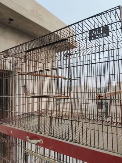 Cage For Sale