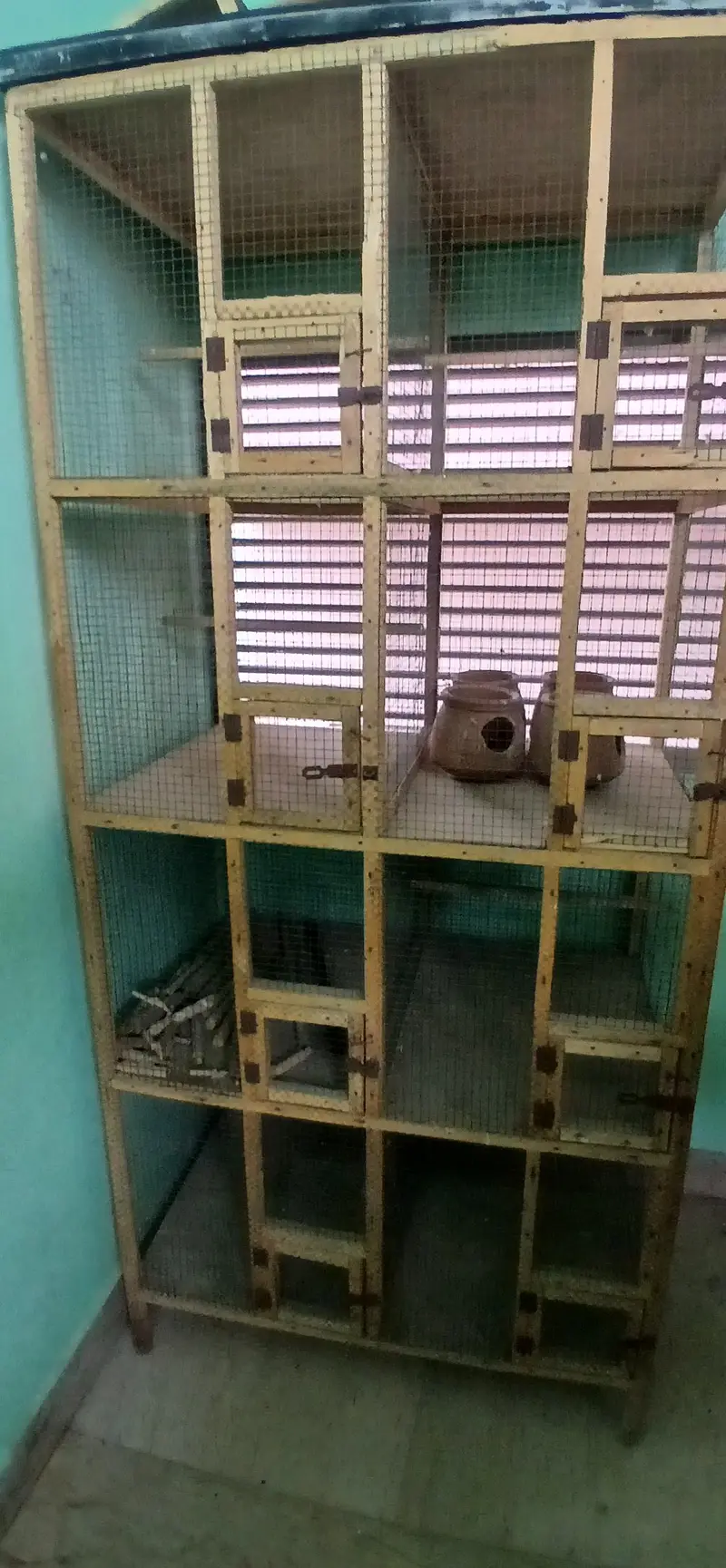 Wooden Breeding Cage — photo 2