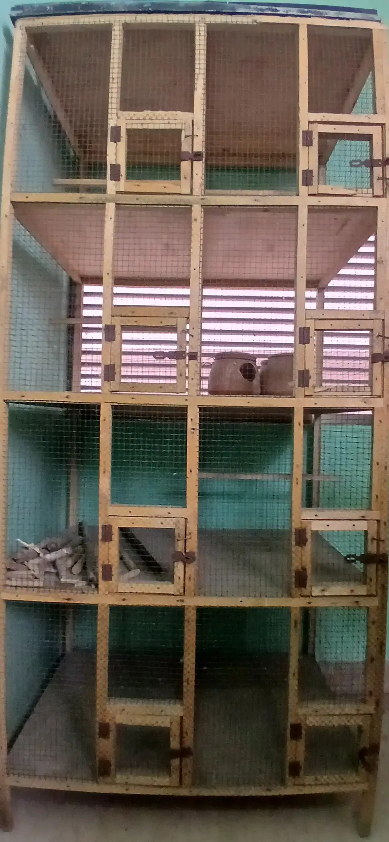 Wooden Breeding Cage — photo 3