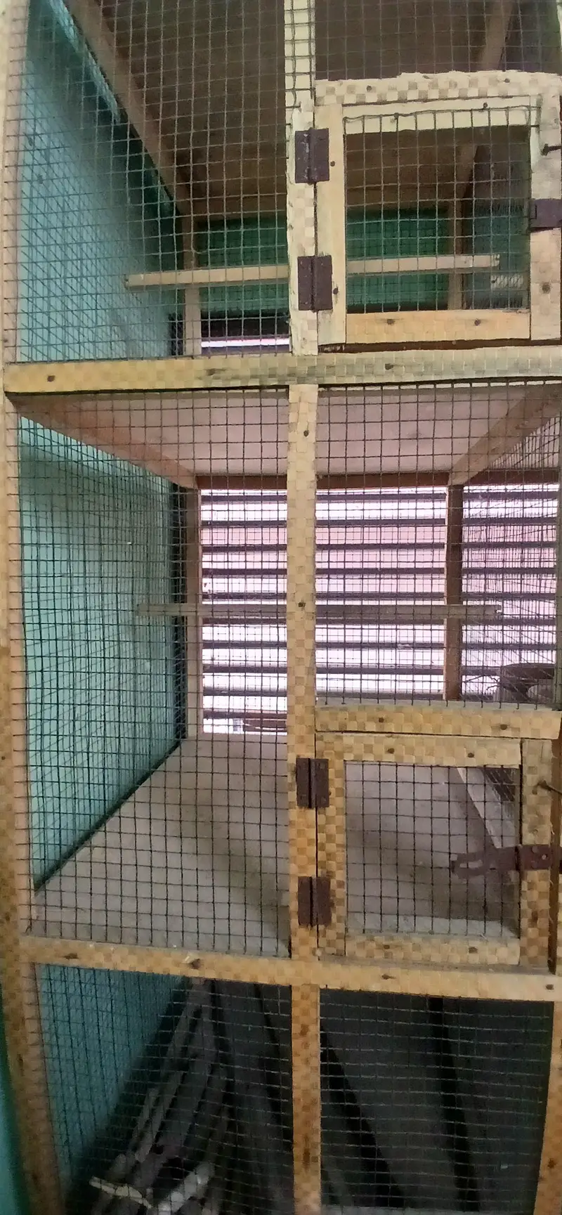 Wooden Breeding Cage — photo 4