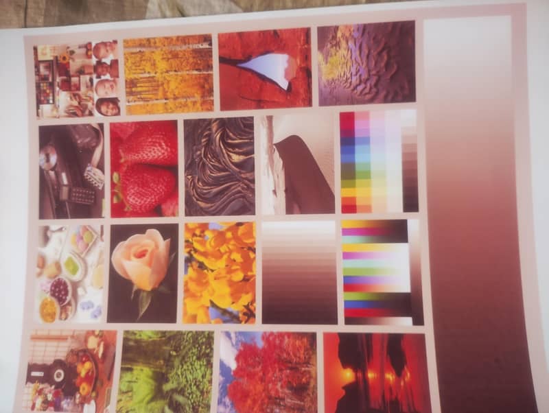 Epson printer 3
