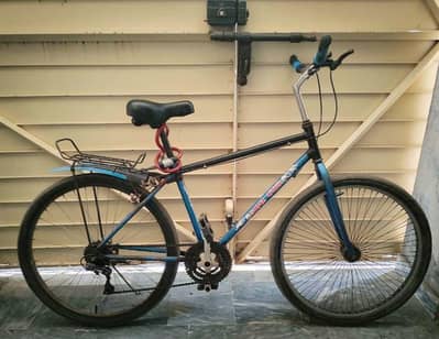 Phoenix Frame Gear Bicycle