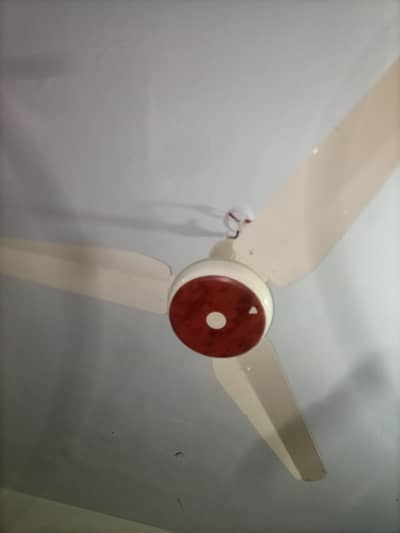 Fan For sell in New condition