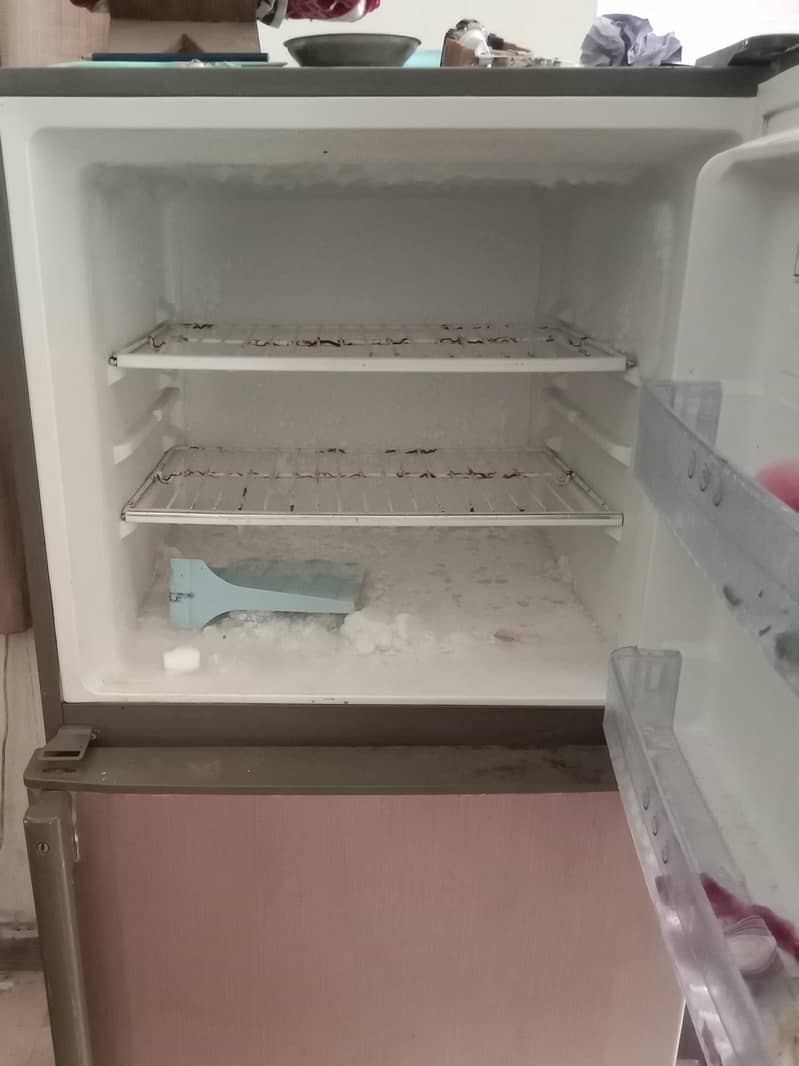 freezer 1