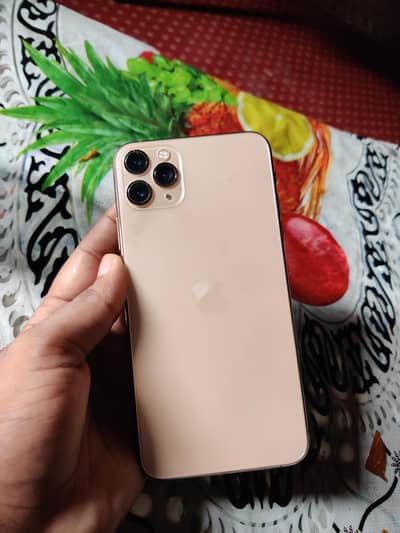 Apple iPhone 11 Pro Max