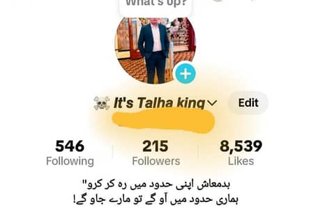 Tiktok promotion