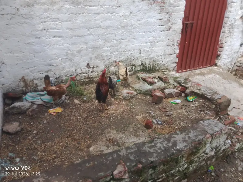 for sale location lahore ha — photo 2