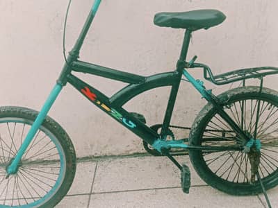 Phoenix cycle