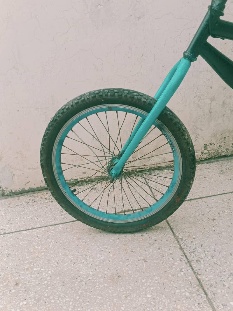 Phoenix cycle 2