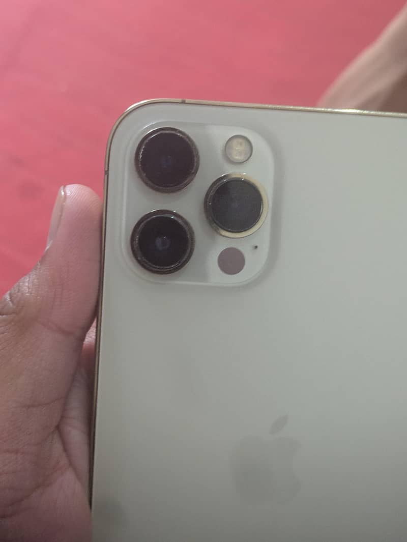 Apple iPhone 12 Pro Max 0