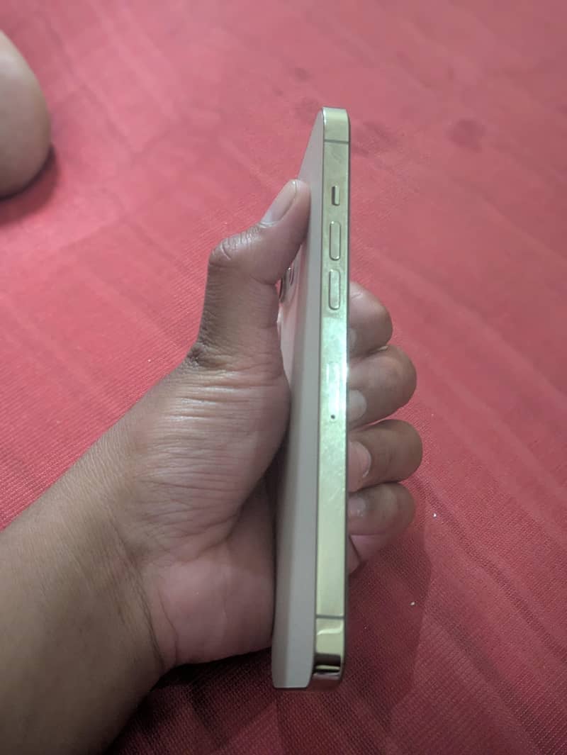 Apple iPhone 12 Pro Max 2