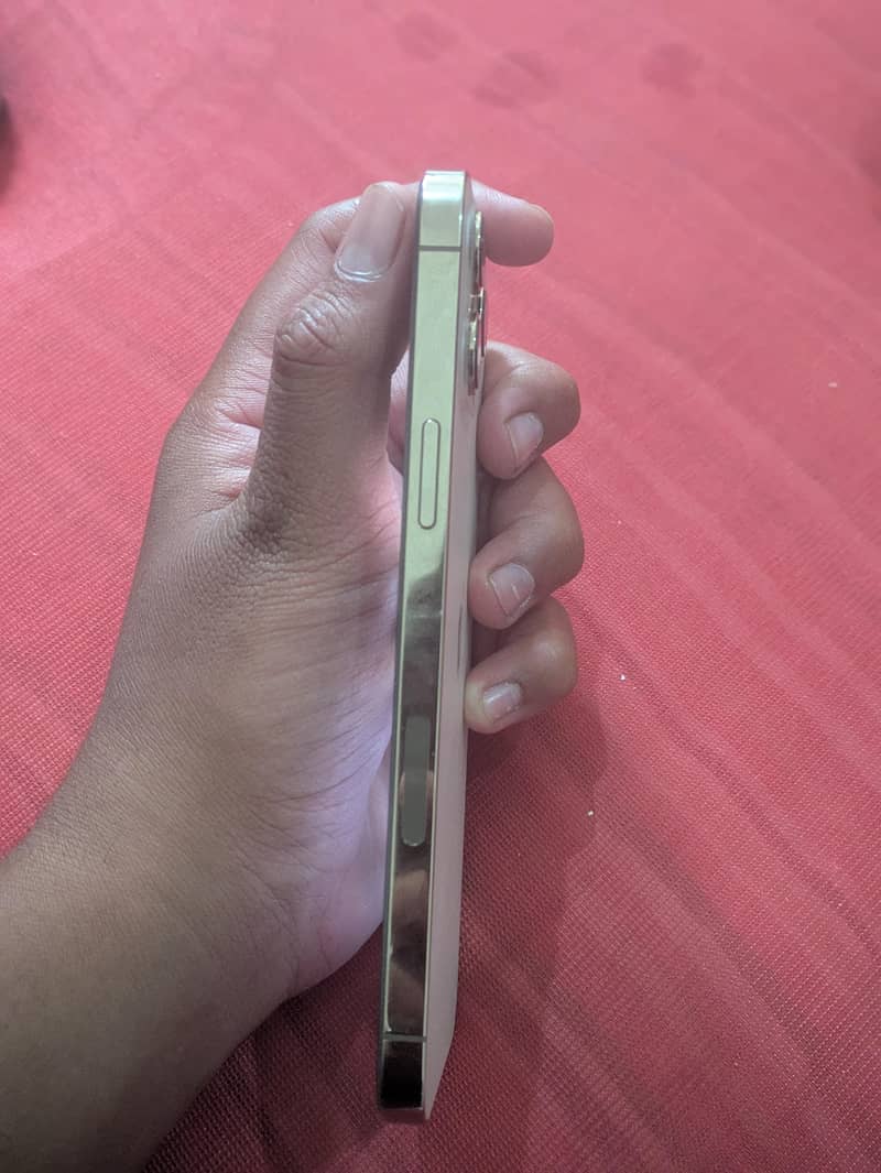 Apple iPhone 12 Pro Max 4