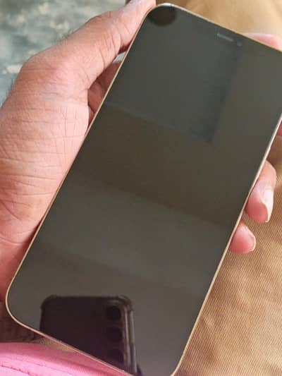 Apple iPhone 12 Pro Max