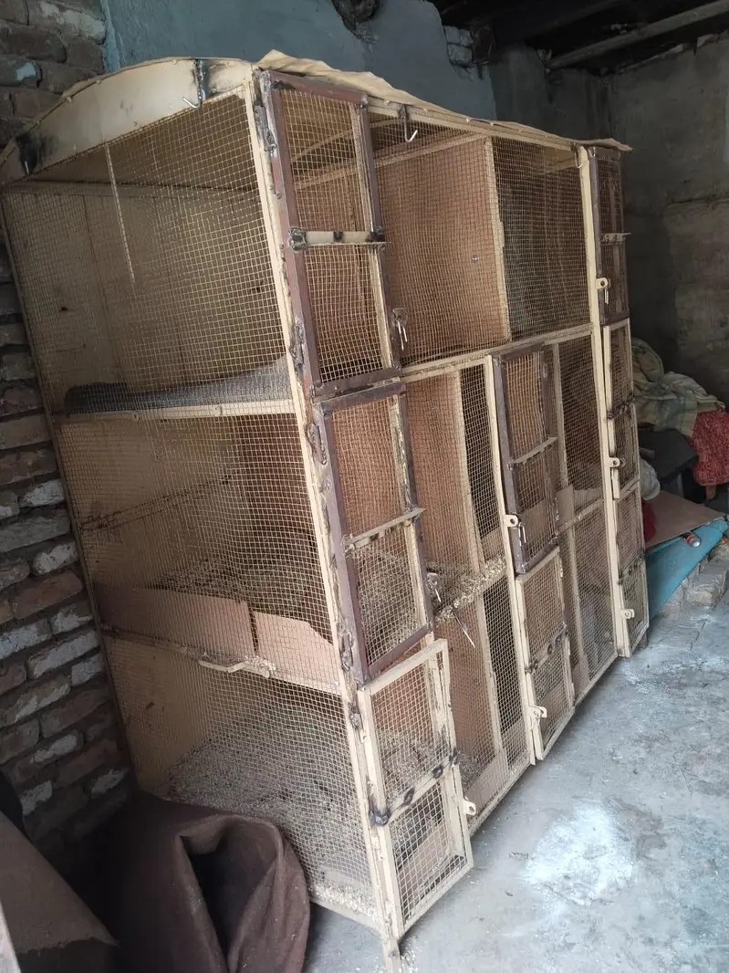 Desi Hens Breeding Cage - Best Condition — photo 2