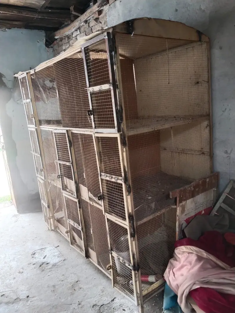 Desi Hens Breeding Cage - Best Condition — photo 3