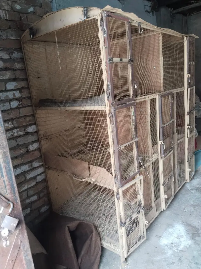 Desi Hens Breeding Cage - Best Condition — photo 4