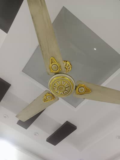 ceiling fan