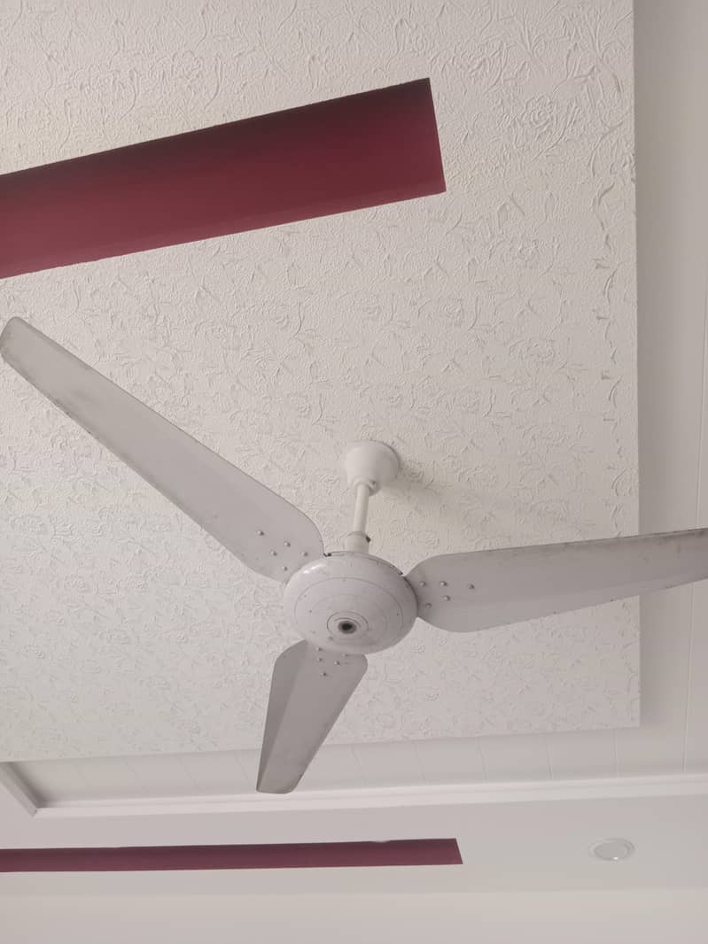 ceiling fan 2