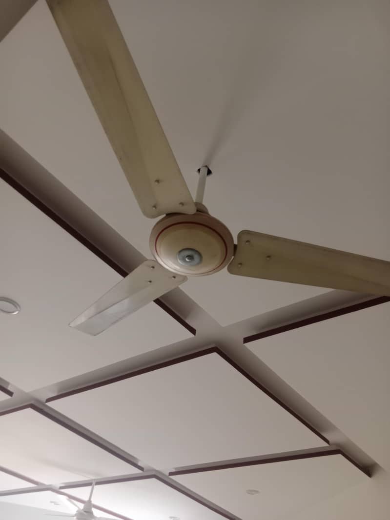ceiling fan 4