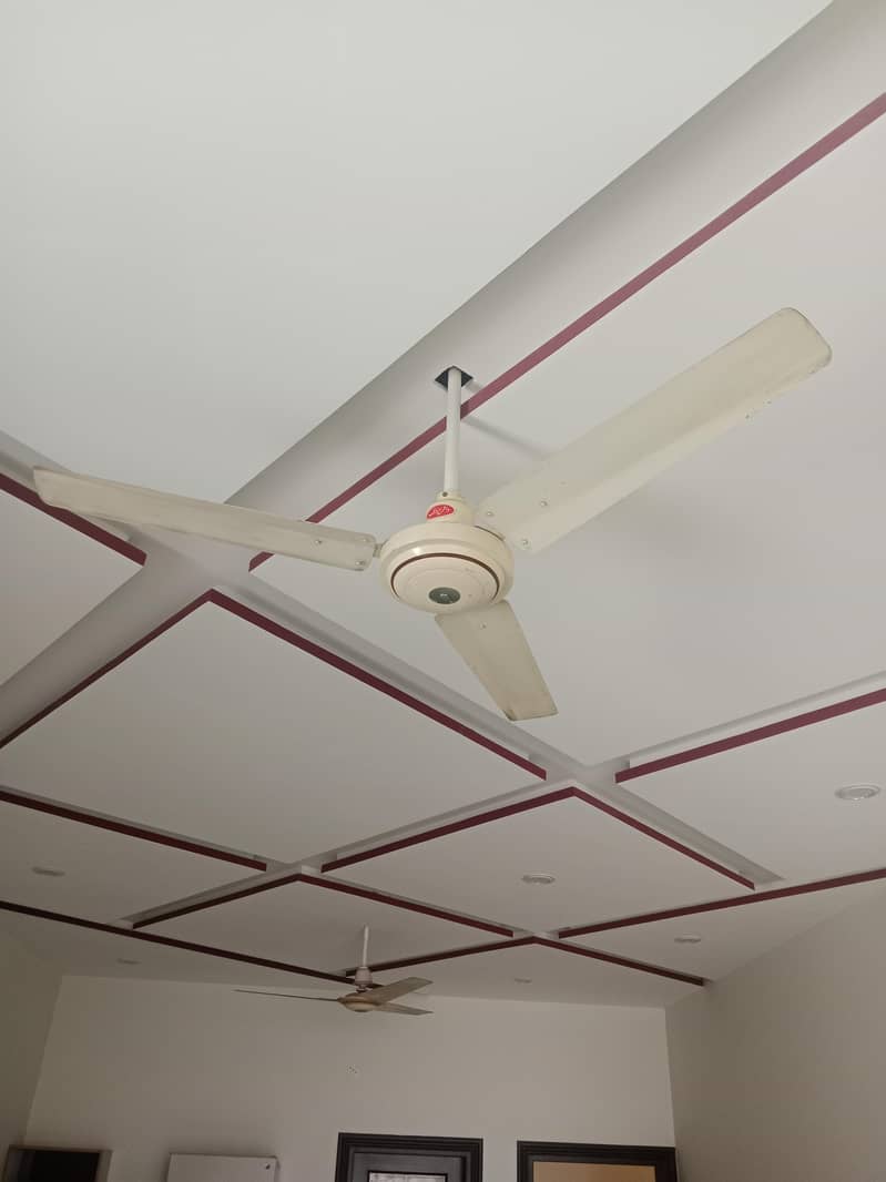 ceiling fan 5