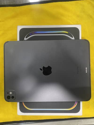 Ipad Pro M4 256GB