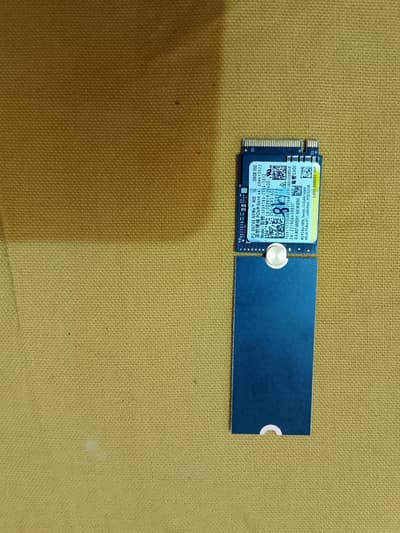 256 gb nvme Gen3 Gen4