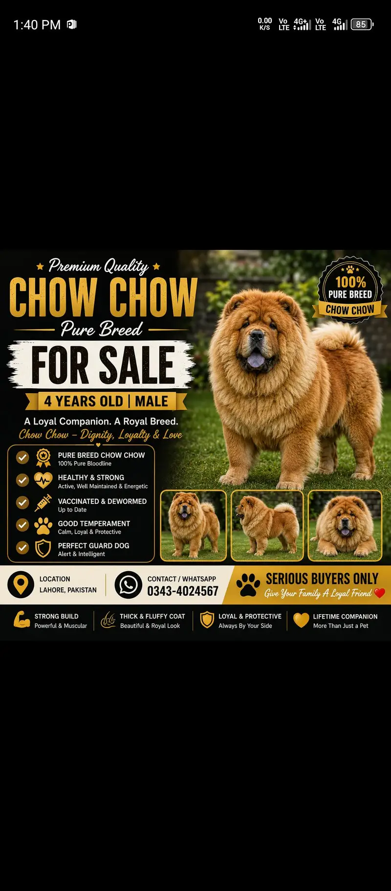 Pure Chow Chow Bread — photo 3