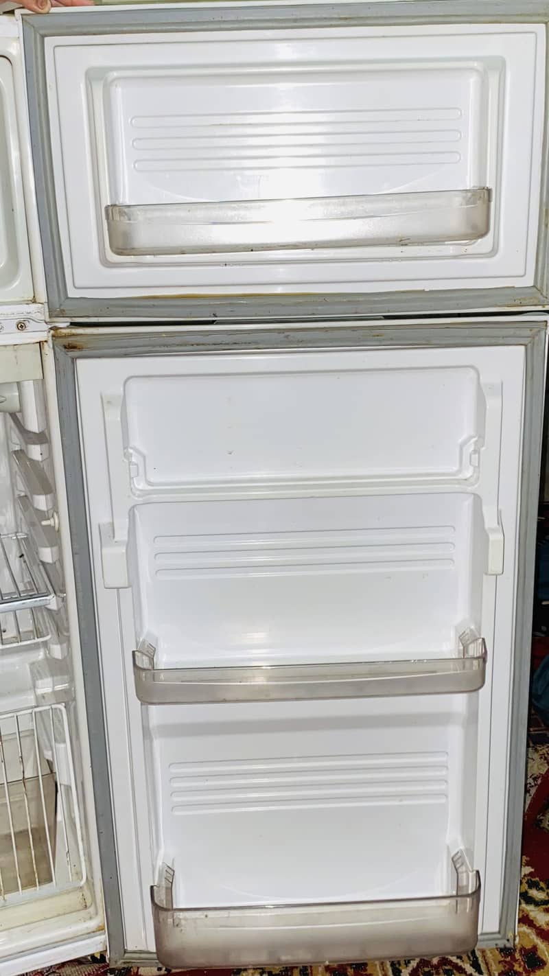 Fridge 5