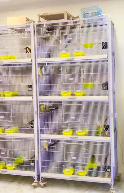 Cages for sale