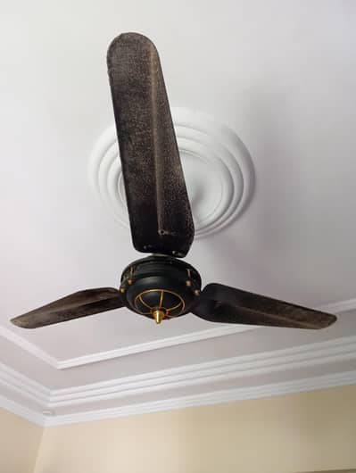 SK fan