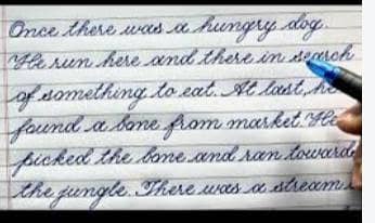 Assignment Writer