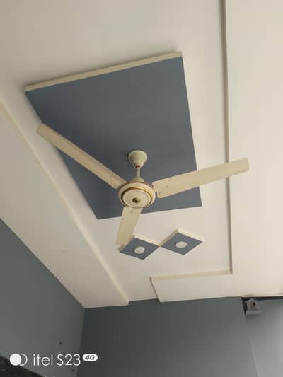 fan for sale