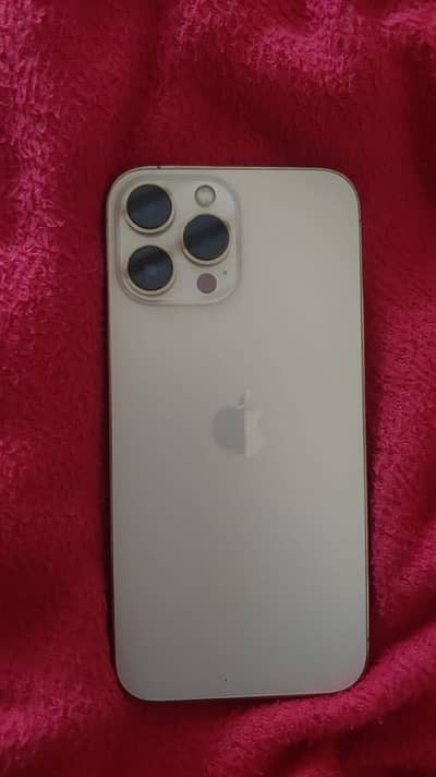 Apple iPhone 13 Pro Max