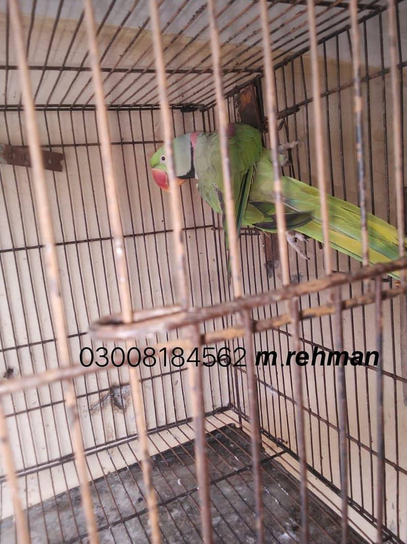 undefined 0
