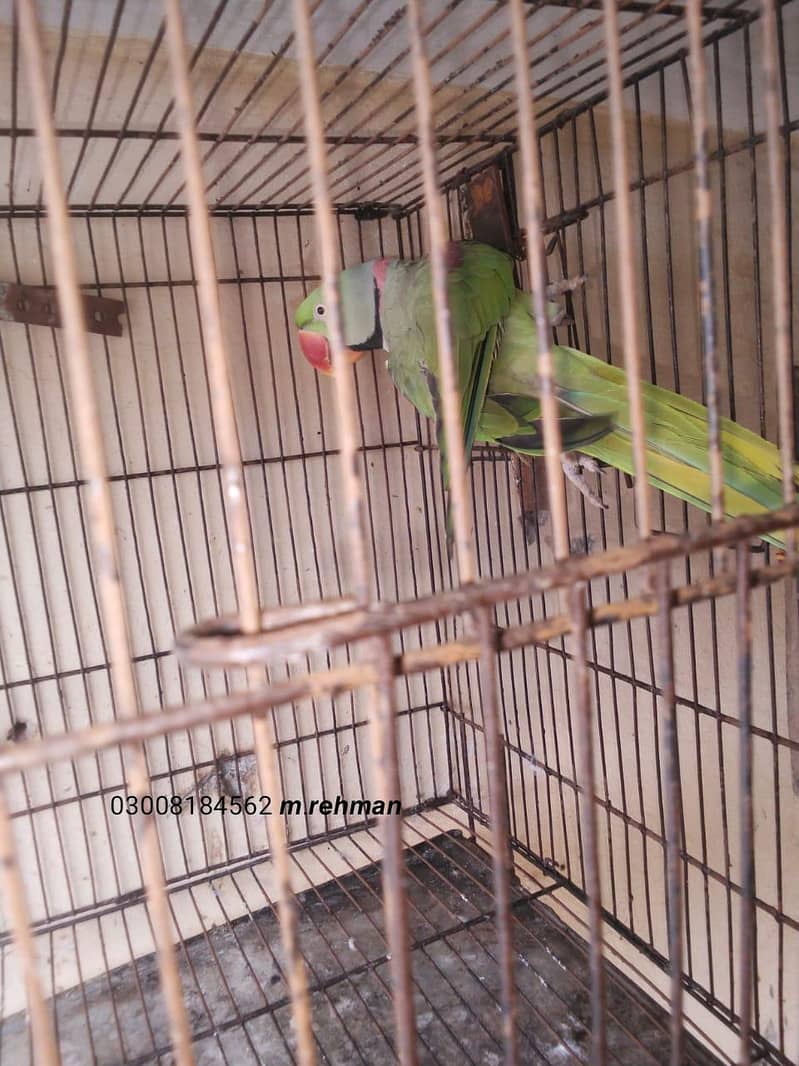 undefined 1