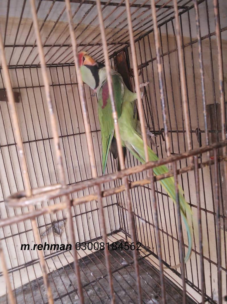 undefined 2