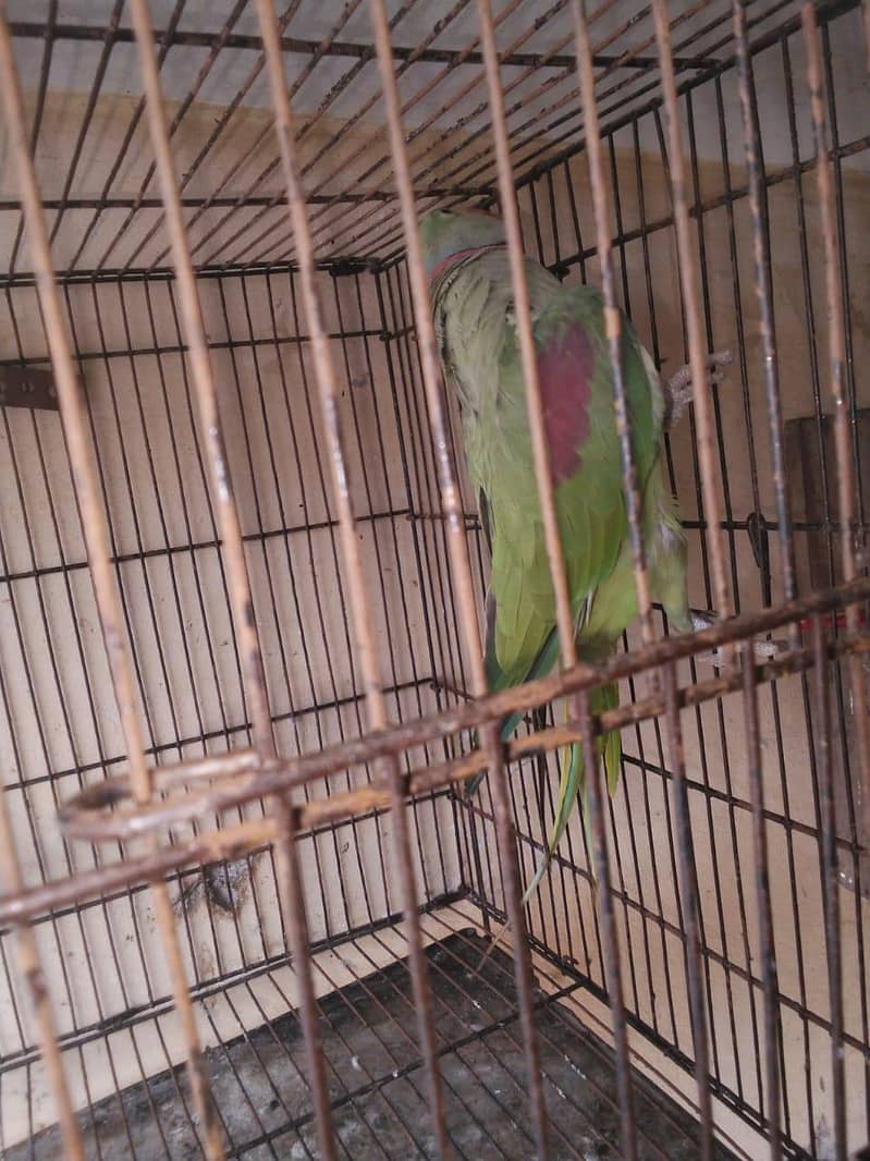 undefined 4