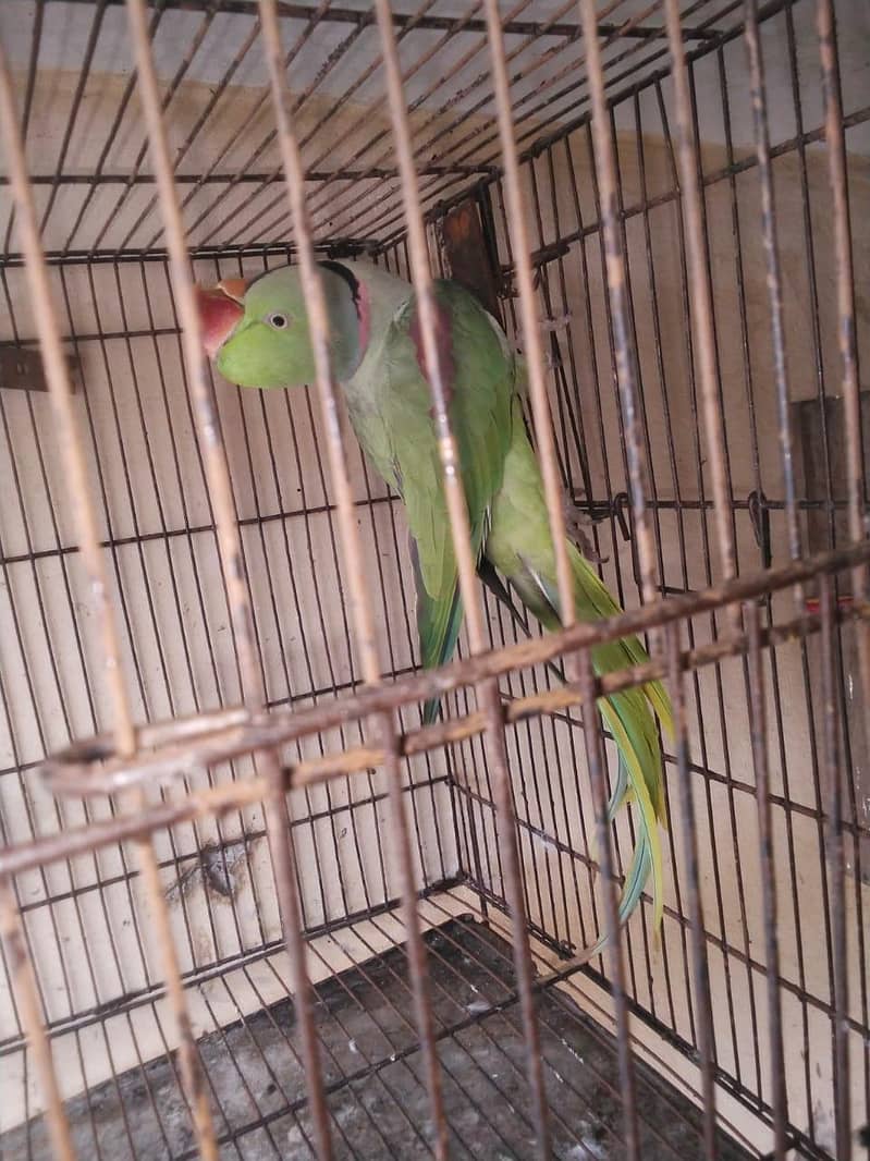 undefined 5