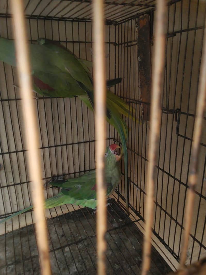 undefined 6