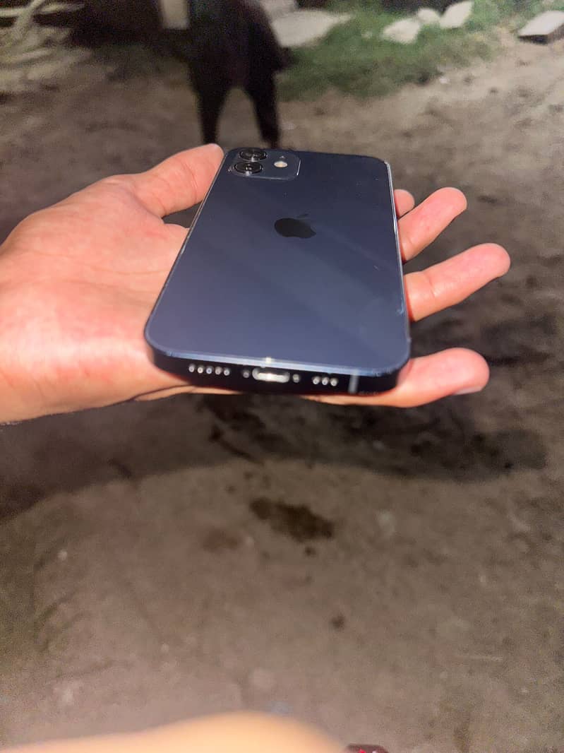 Apple iPhone 12 1