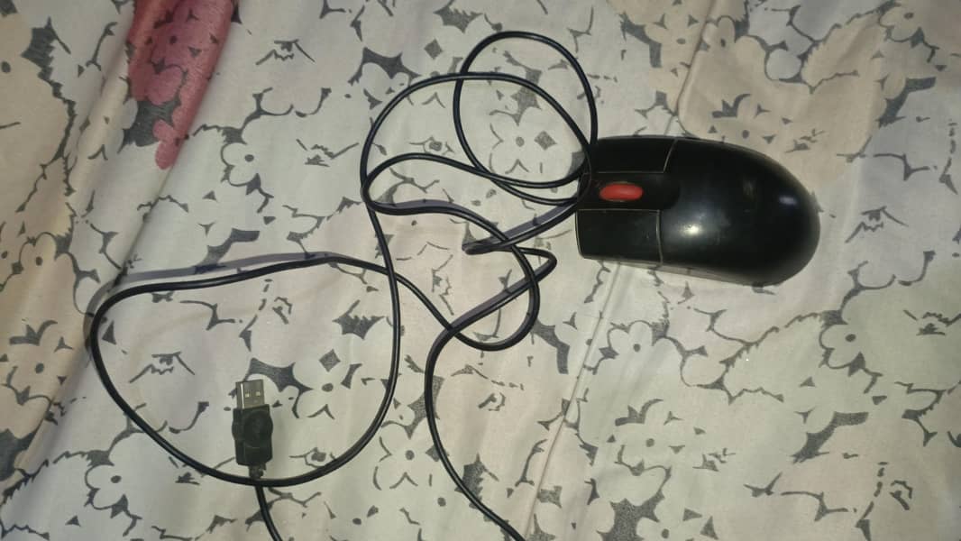 computer mouse 1