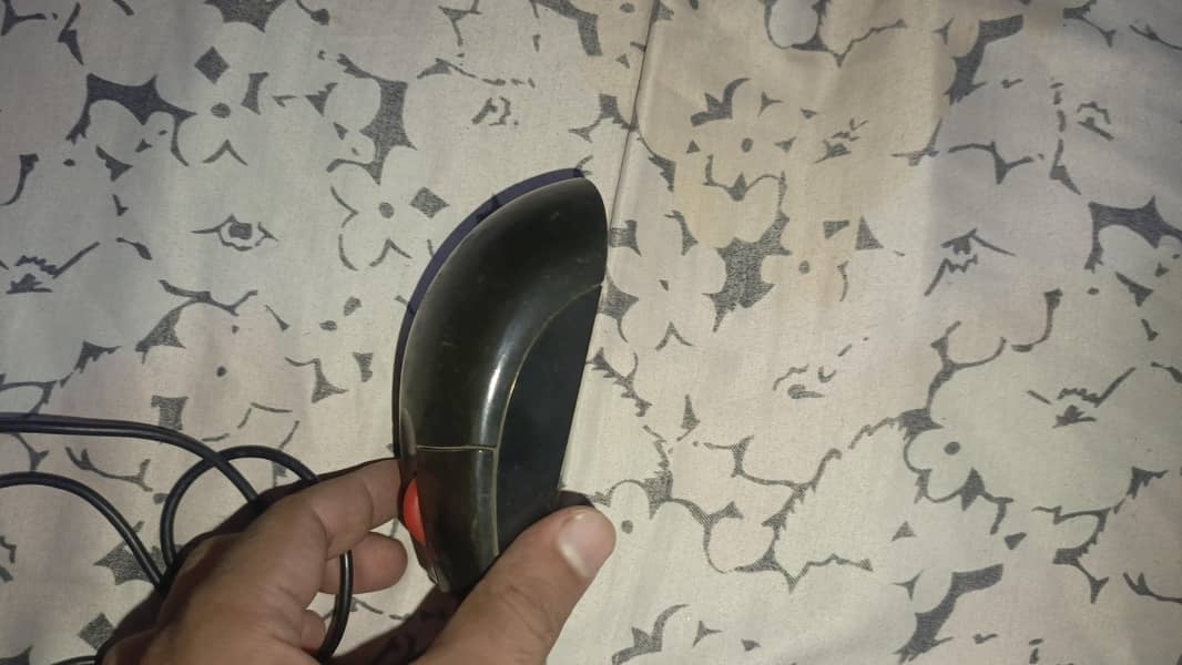 computer mouse 2