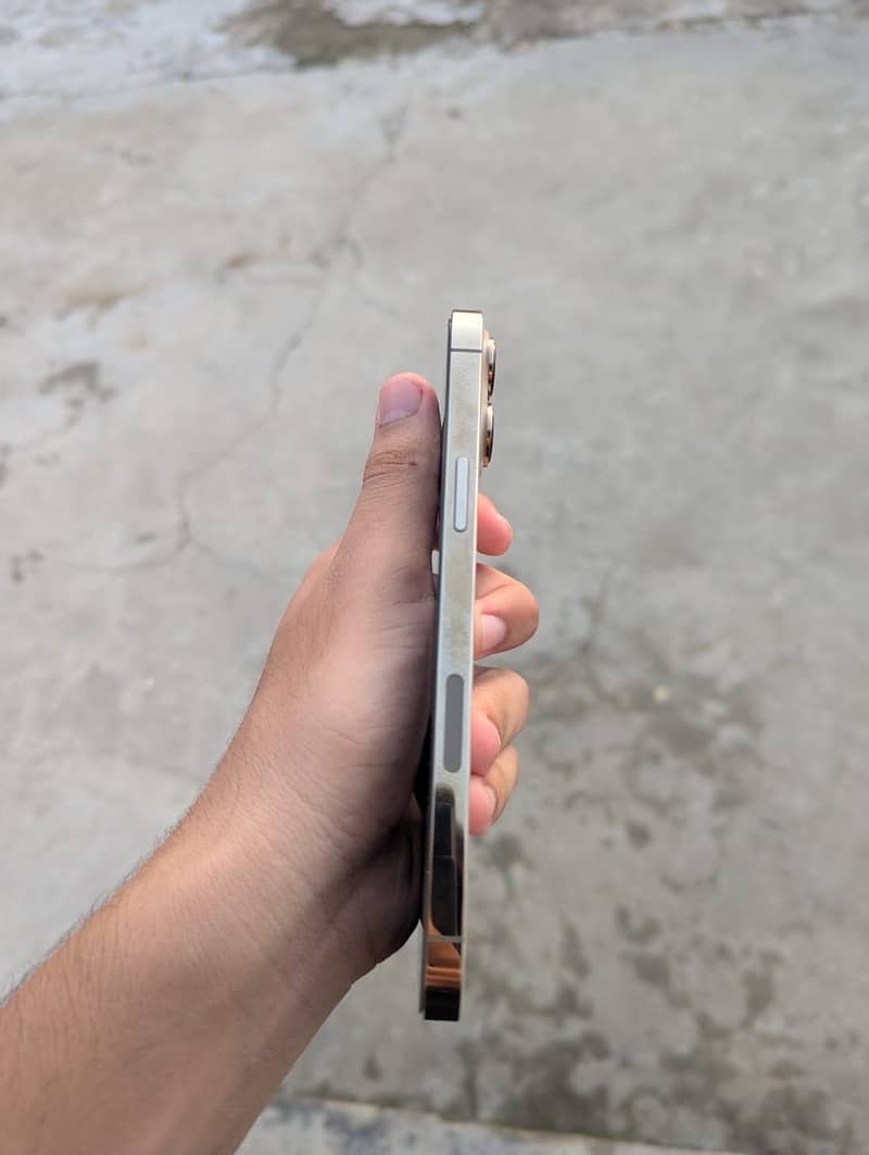 Apple iPhone 13 Pro Max 1