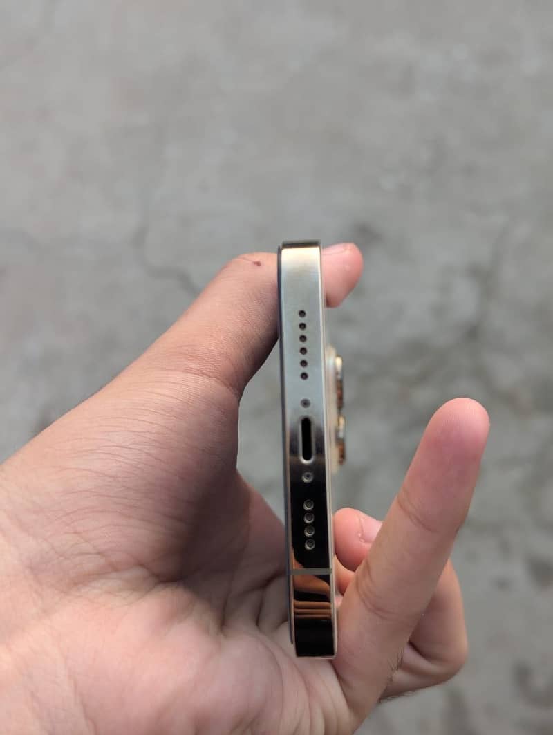 Apple iPhone 13 Pro Max 2
